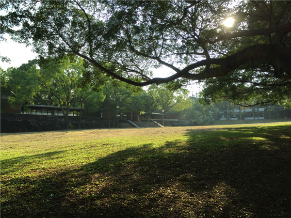 文理大道理学院.jpg