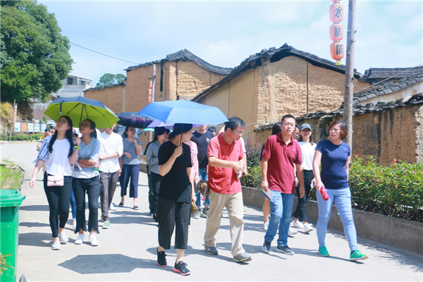 公司师生在黛溪镇党委副书记陈帆书记带领下进行文创惠农调研.JPG